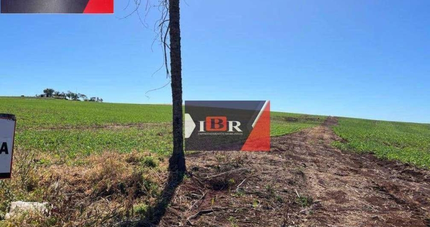 Fazenda em Sidrolândia - MS