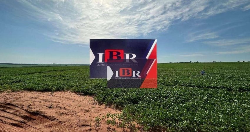 Fazenda à venda na Zona Rural, Amambaí 