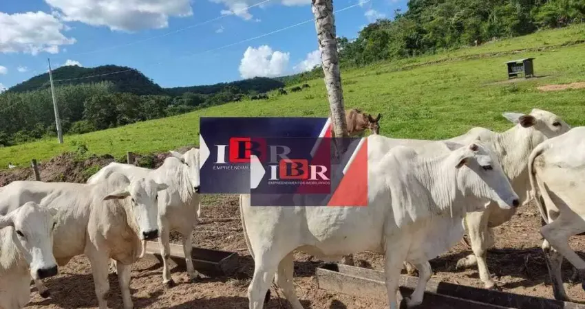 Fazenda em São Gabriel do Oeste-MS