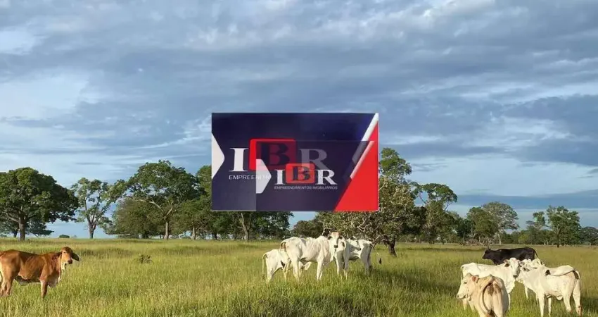 Fazenda em Inocência - MS