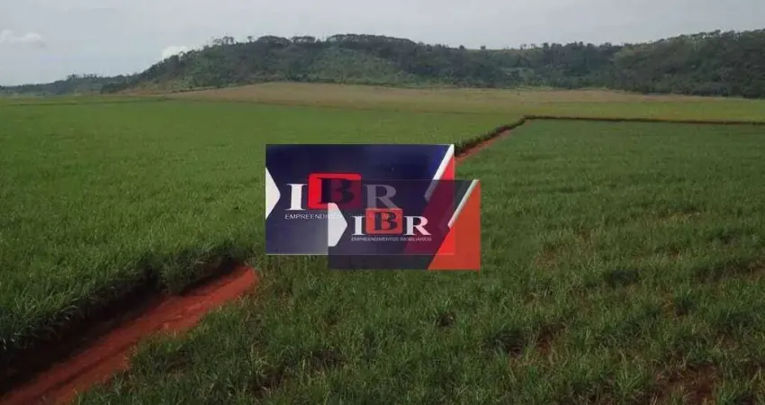 Fazenda à venda na Avenida Doutor Celso Charuri, Área Rural de Ribeirão Preto, Ribeirão Preto