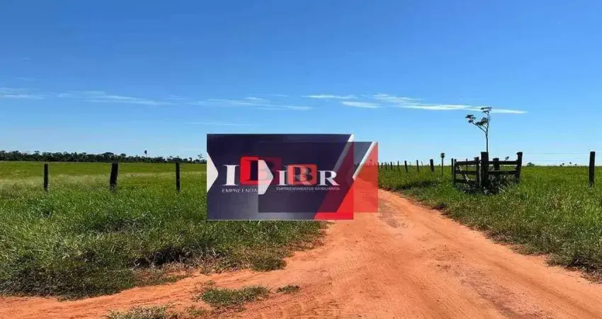 Fazenda à venda na Zona Rural, Anaurilândia 