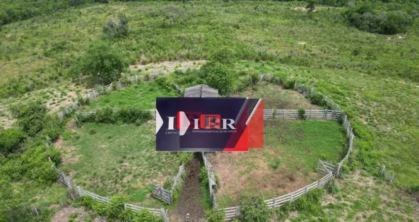 Fazenda em Camapuã - MS