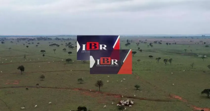 Fazenda em Amambaí Ms