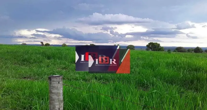 Fazenda em Coxim - MS