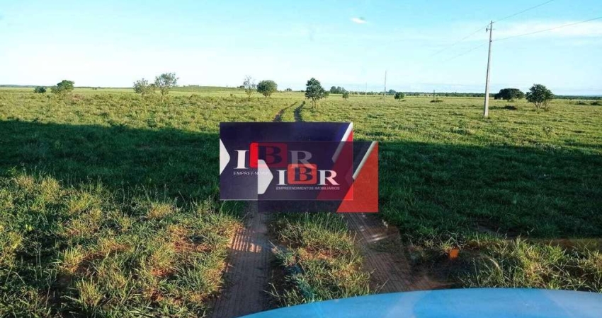 Fazenda em Amambaí - MS