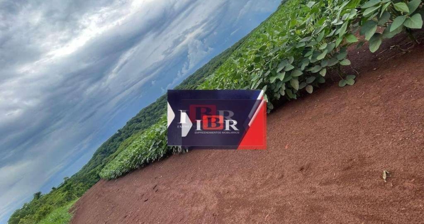 Fazenda em Chapadão do Sul - MS