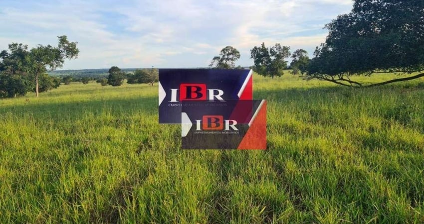 Fazenda em Pedro Gomes - MS