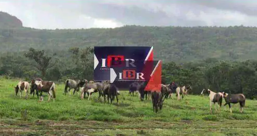 Fazenda em Primavera do Leste – MT