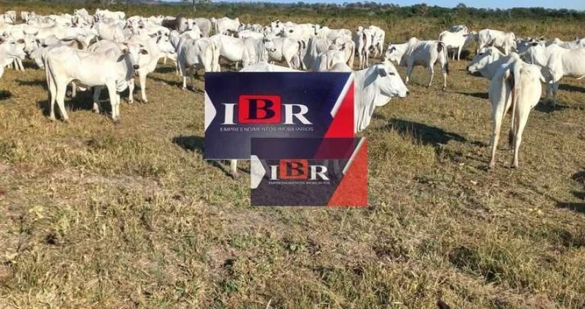 Fazenda à venda na Zona Rural, Pedra Preta 