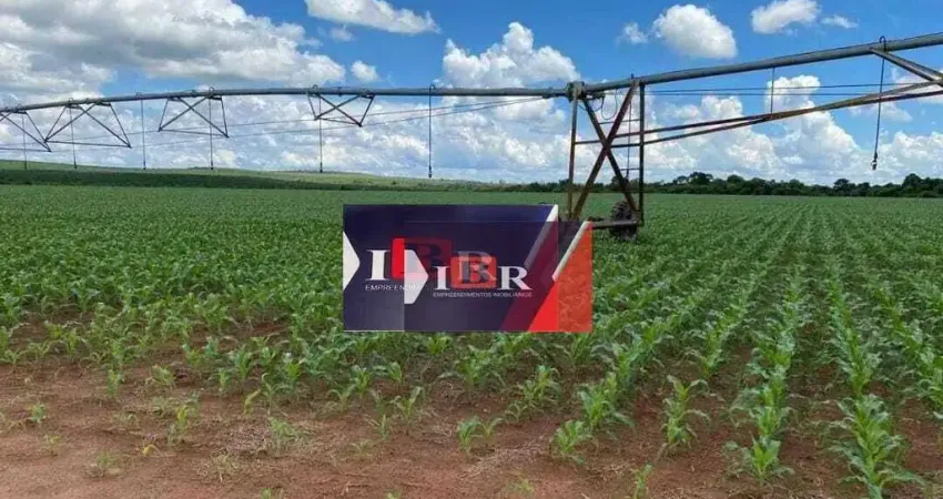 Fazenda à venda na Área Rural, Área Rural de Avaré, Avaré