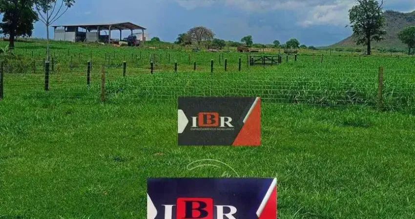 Fazenda em São Gabriel Do Oeste - MS