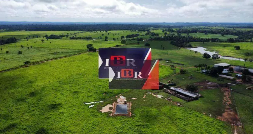 Fazenda à venda no Centro, Canarana 