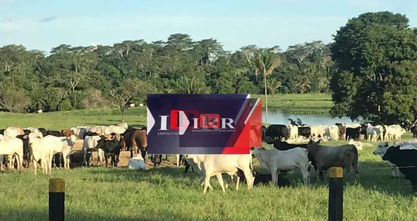 Fazenda à venda na Zona Rural, Juara 