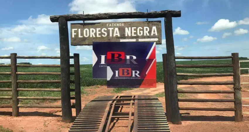 Fazenda em Sete Quedas - MS