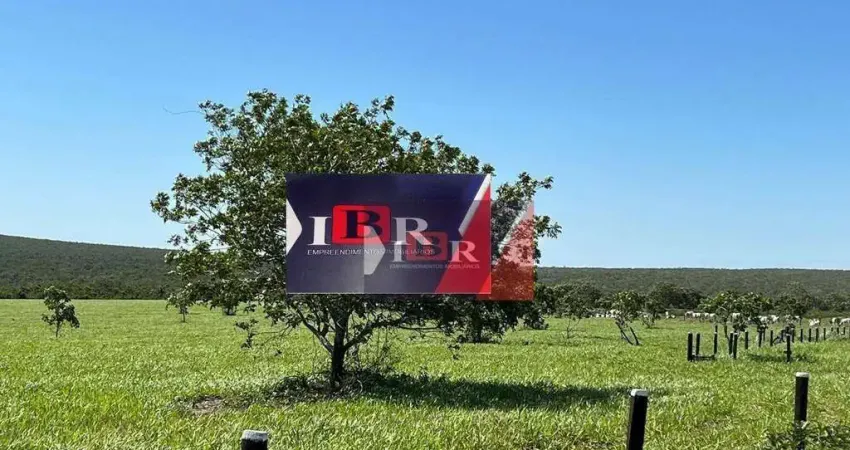 Fazenda à venda na Zona Rural, Reserva do Cabaçal 