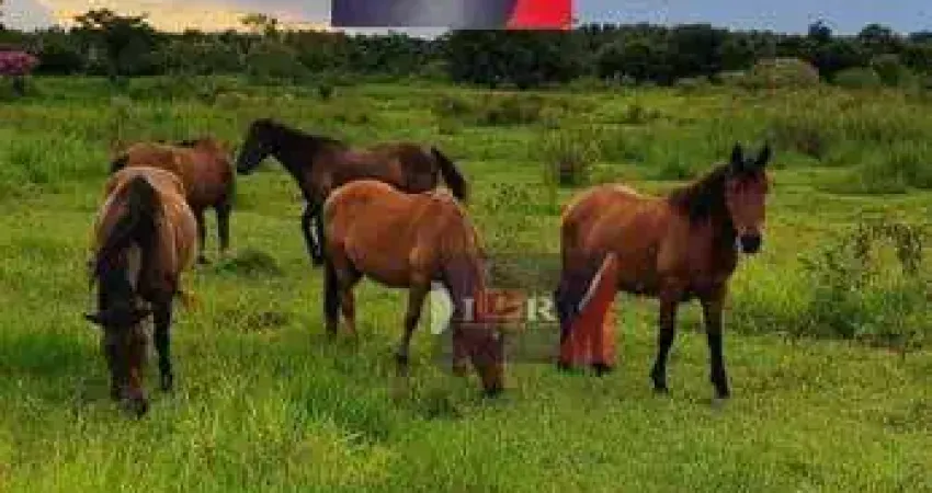 Chácara / sítio à venda na Rua Professor Armando Rizzo, Área Rural de Sorocaba, Sorocaba