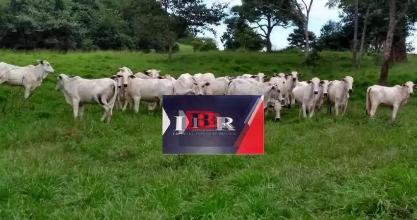 Fazenda à venda na Zona Rural, Pedra Preta 
