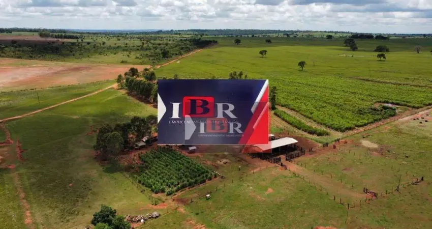 Fazenda em Tacuru - MS