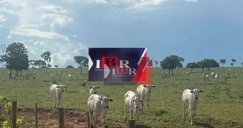 Fazenda à venda na Zona Rural, Paraíso das Águas 