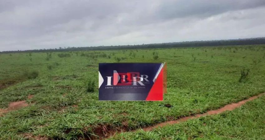 Fazenda em Naviraí - MS