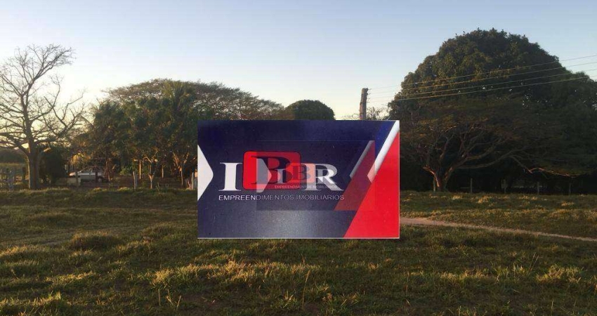 Fazenda em Rochedo - MS