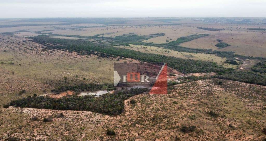 Fazenda à venda na Zona Rural, Campo Grande 
