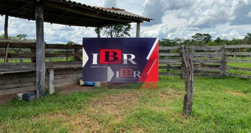 Fazenda à venda na Zona Rural, Camapuã 