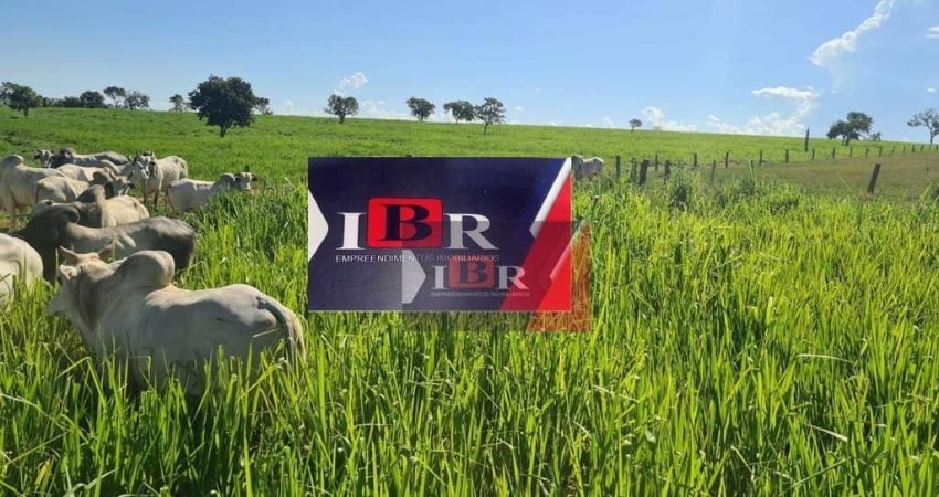 Fazenda à venda na Zona Rural, Pedro Gomes 