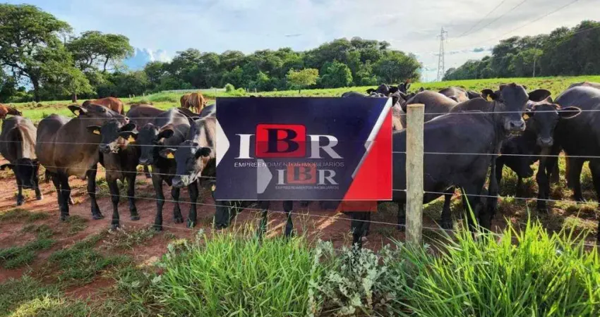 Fazenda à venda na Zona Rural, Aparecida do Taboado 