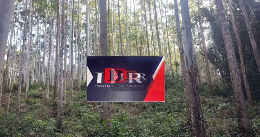 Fazenda à venda, 18670000 m² por r$ 40.000.000,00 - zona rural - registro/sp