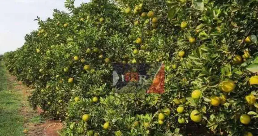 Fazenda à venda na Alameda Angelo Contrucci, Área Rural de Avaré, Avaré