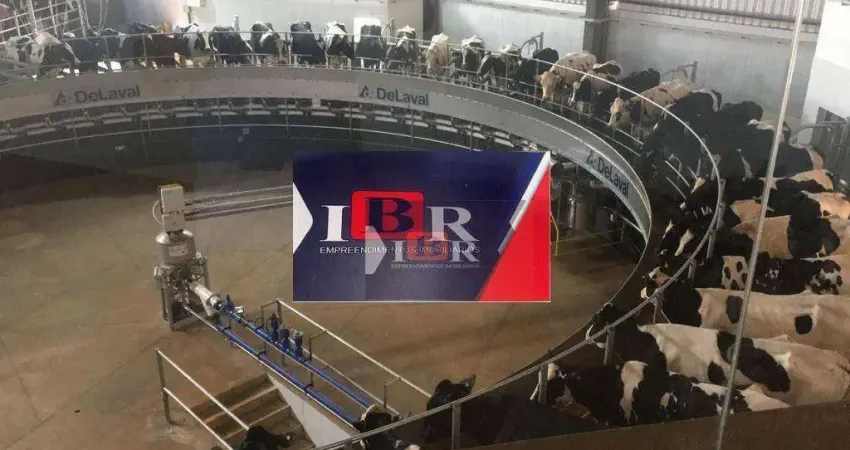 Fazenda à venda no Centro, Paranapanema