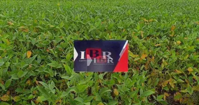 Fazenda à venda na Zona Rural, Paranatinga