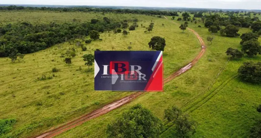 Fazenda à venda na Zona Rural, Alcinópolis 