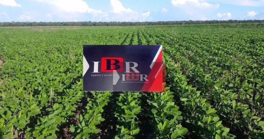 Fazenda à venda na Zona Rural, Primavera do Leste 