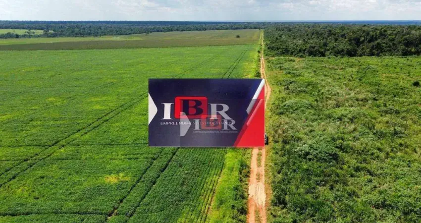 Fazenda à venda na Rua Aguinaldo Sampaio Ribas, Zona Rural, Ponta Grossa