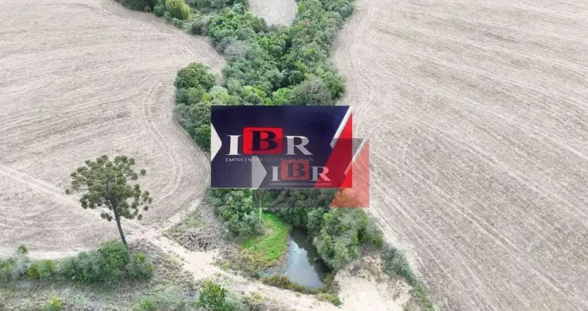 Chácara / sítio à venda na Vila Tomaz, São Miguel Arcanjo 