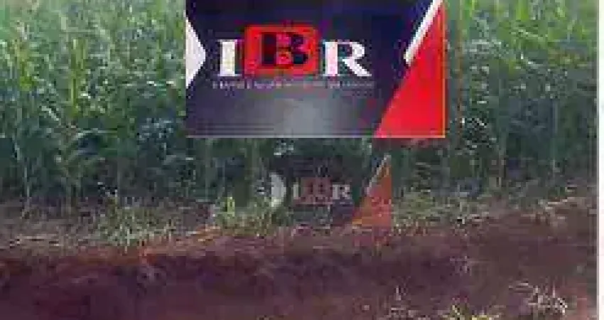 Fazenda à venda na Avenida Marcelino Pires, Zona Rural, Dourados