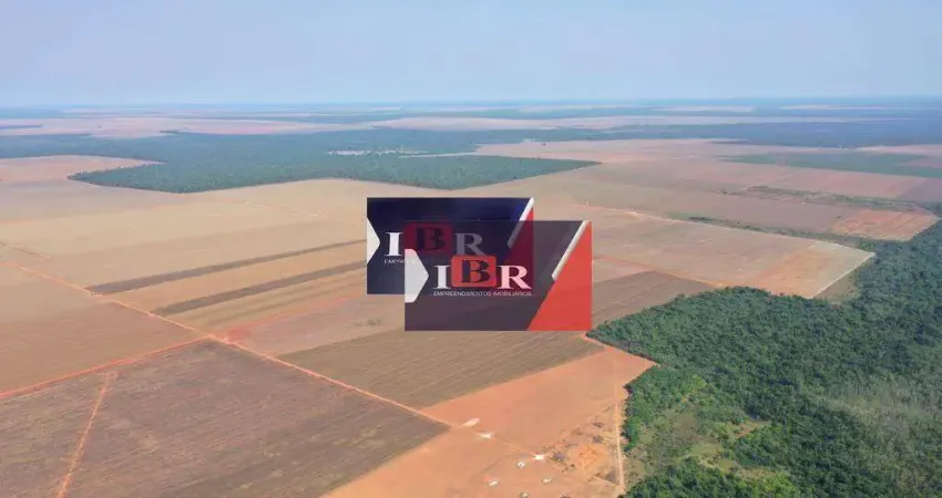 Fazenda à venda na Zona Rural, Gaúcha do Norte