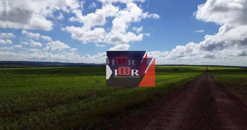 Fazenda à venda no Centro, Primavera do Leste