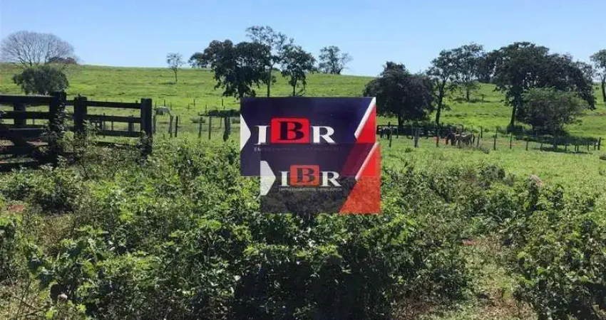 Fazenda à venda na Zona Rural, Santa Rita do Pardo