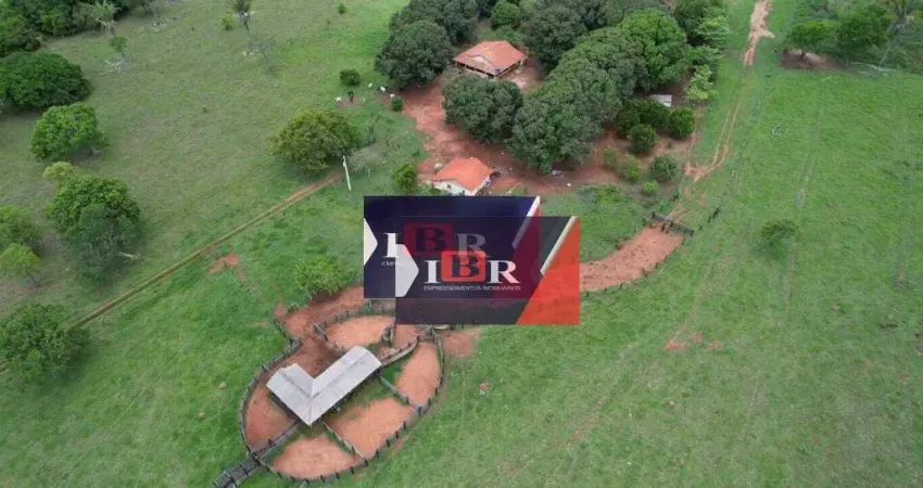 Fazenda à venda na Zona Rural, Ribas do Rio Pardo