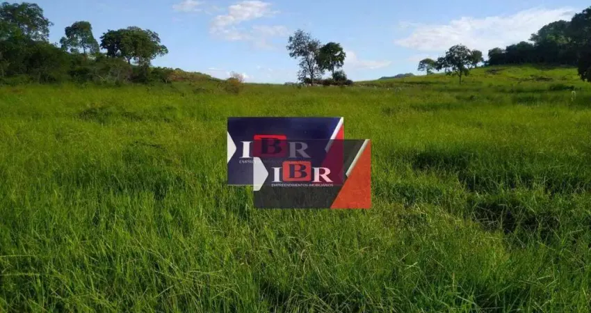 Fazenda à venda no Centro, Miranda