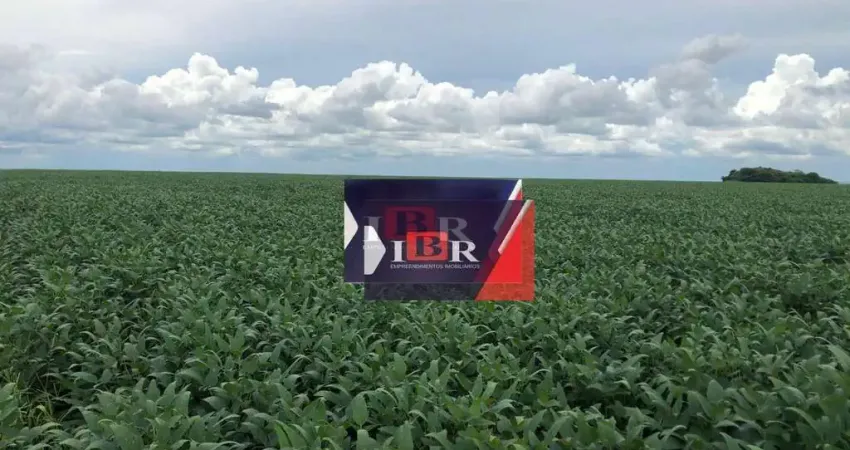 Fazenda à venda no Centro, Primavera do Leste