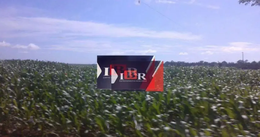 Fazenda à venda na Zona Rural, Porto dos Gaúchos