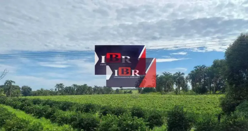 Chácara / sítio à venda na Zona Rural, Santa Salete