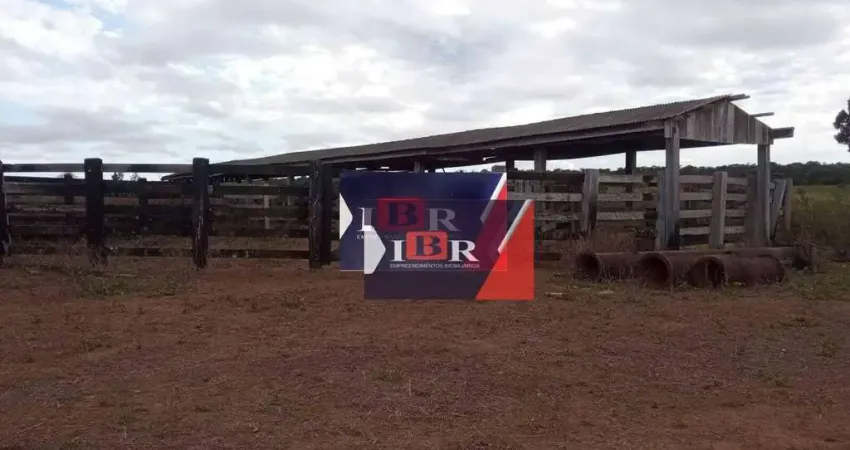 Fazenda à venda na Zona Rural, Nova Ubiratã