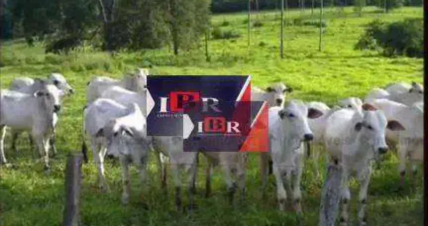 Fazenda à venda na Zona Rural, Sidrolândia