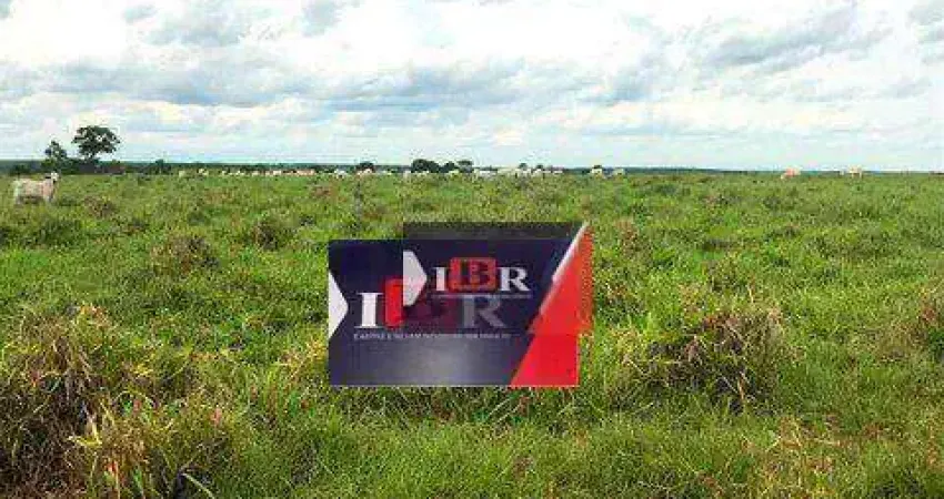 Fazenda à venda na Zona Rural, Água Clara